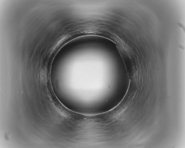 X0000099440530200805091314