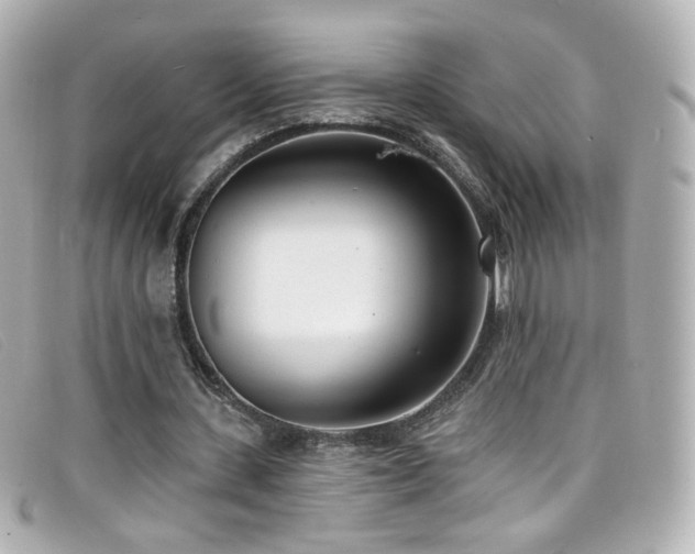 X0000099440531200805091314
