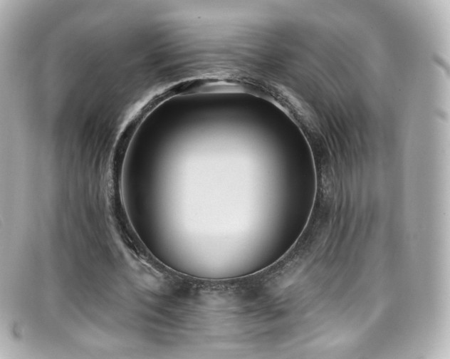 X0000099440532200805091314