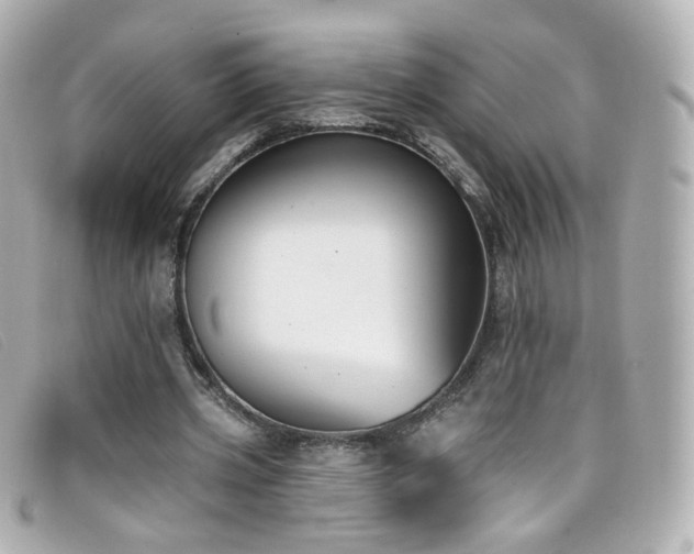X0000099440533200805091314