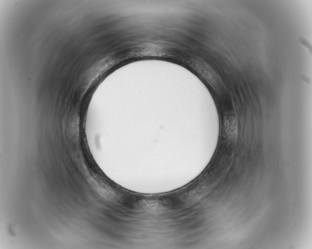 X0000099440534200805091314