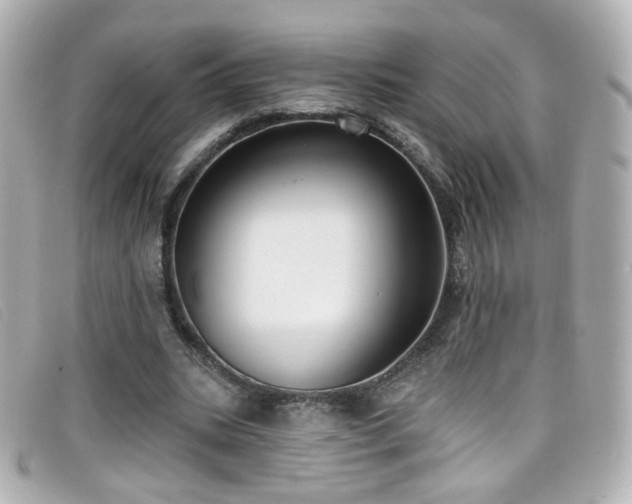 X0000099440535200805091314