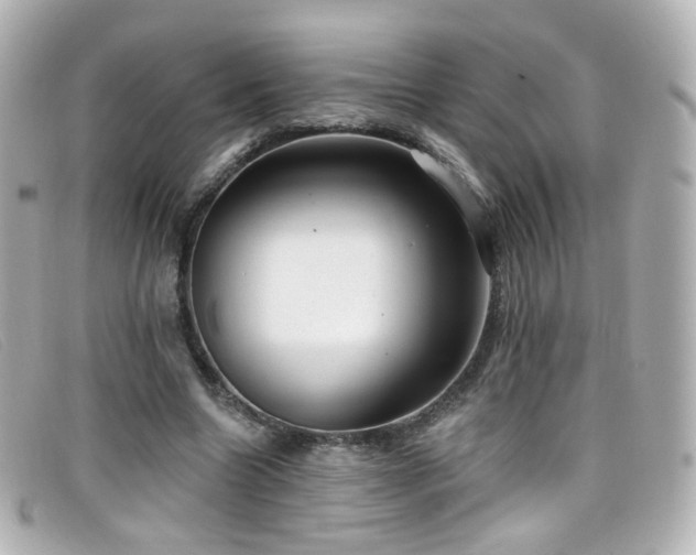 X0000099440538200805091315