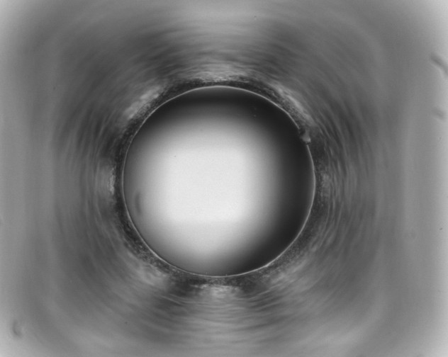 X0000099440539200805091315