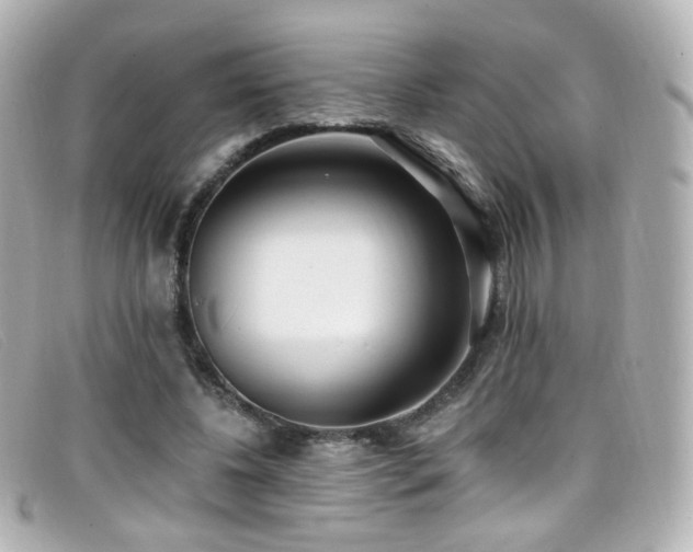 X0000099440540200805091315