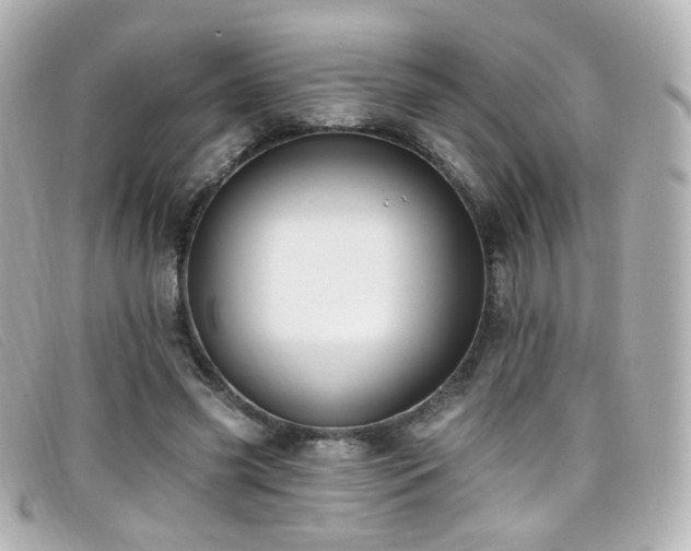 X0000099440541200805091315