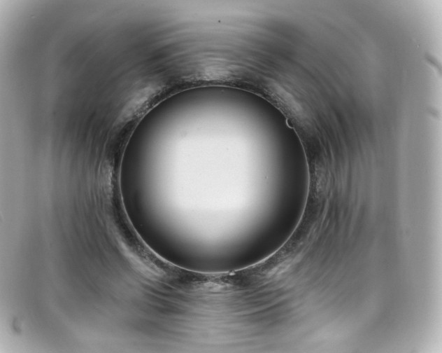 X0000099440542200805091315