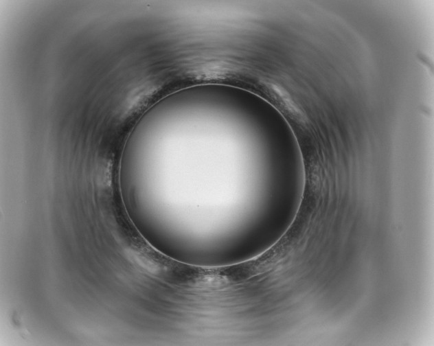 X0000099440543200805091315