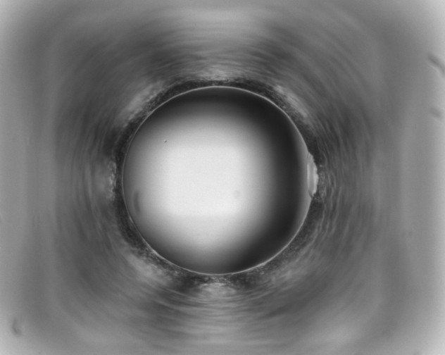X0000099440544200805091315
