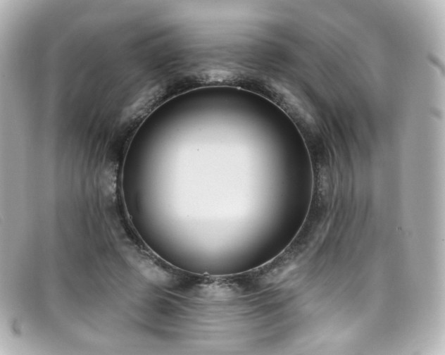 X0000099440545200805091315