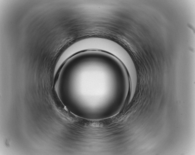 X0000099440546200805091315