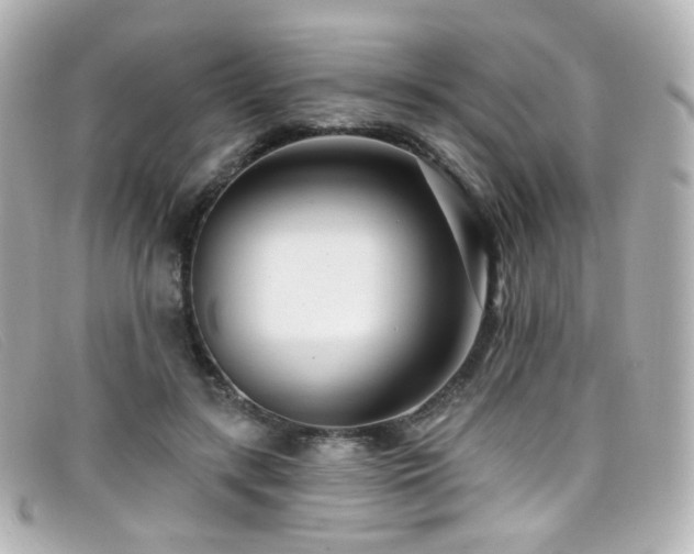X0000099440547200805091315