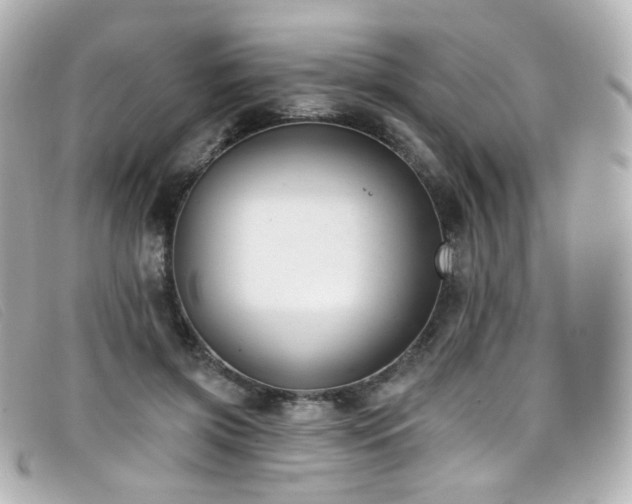 X0000099440549200805091315
