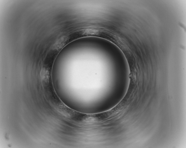 X0000099440551200805091315
