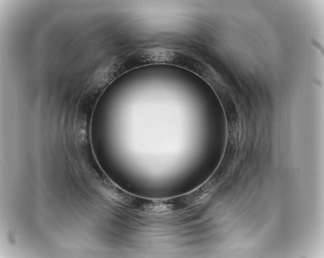 X0000099440553200805091315