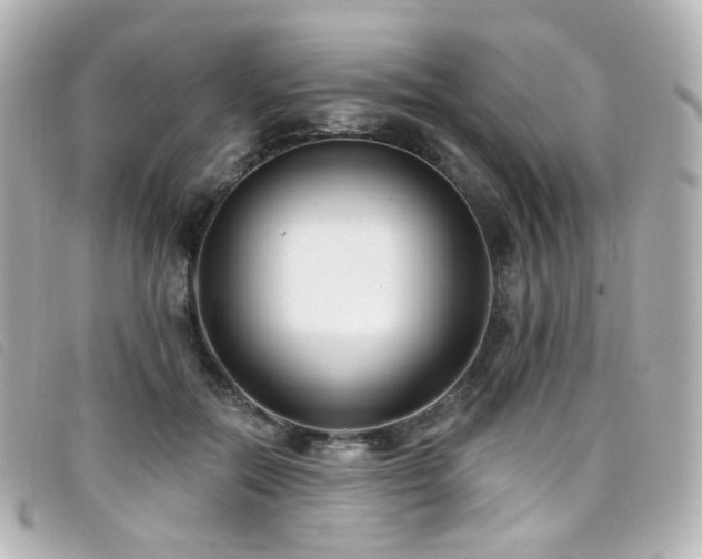 X0000099440554200805091315