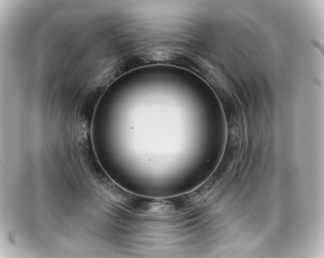X0000099440555200805091315