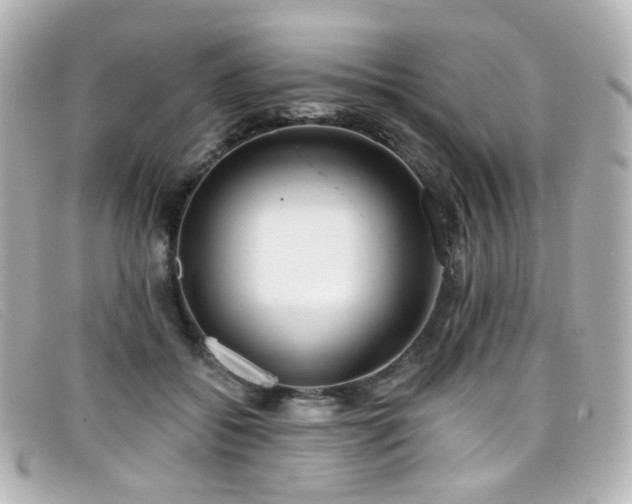 X0000099440556200805091315