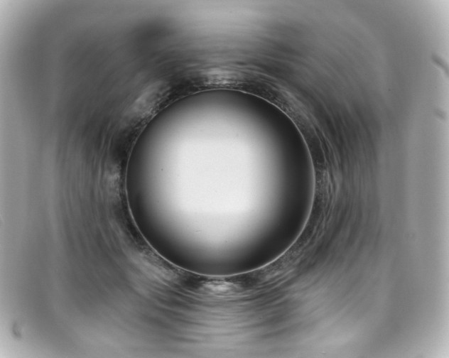 X0000099440557200805091315