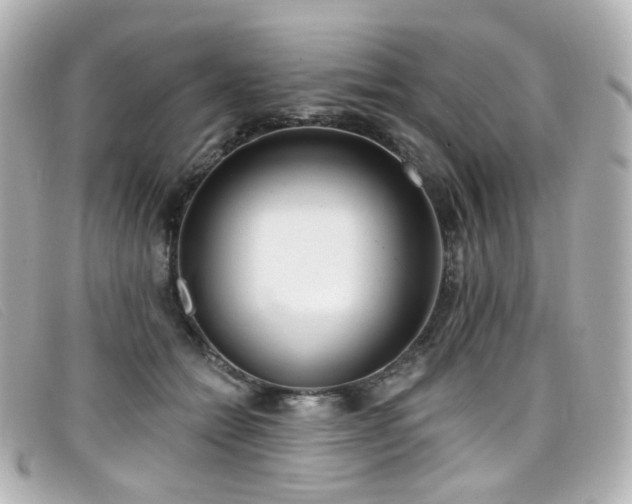 X0000099440558200805091315