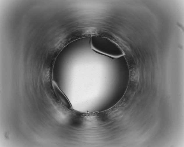 X0000099440560200805091315