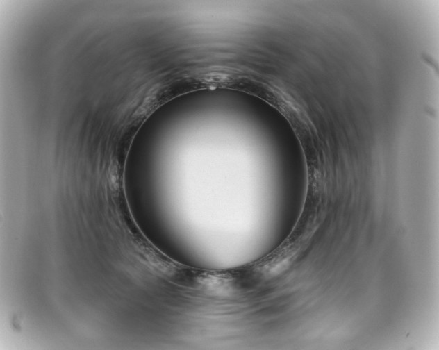 X0000099440561200805091315