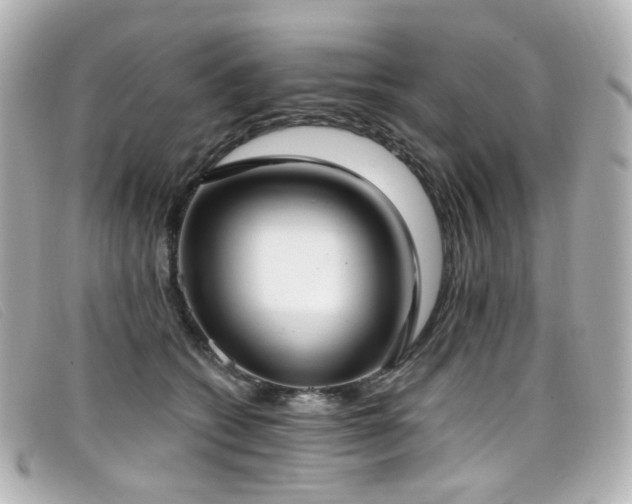 X0000099440562200805091315