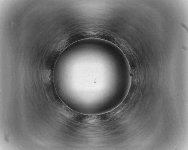 X0000099440563200805091315