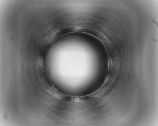 X0000099440565200805091315