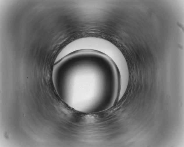 X0000099440566200805091315
