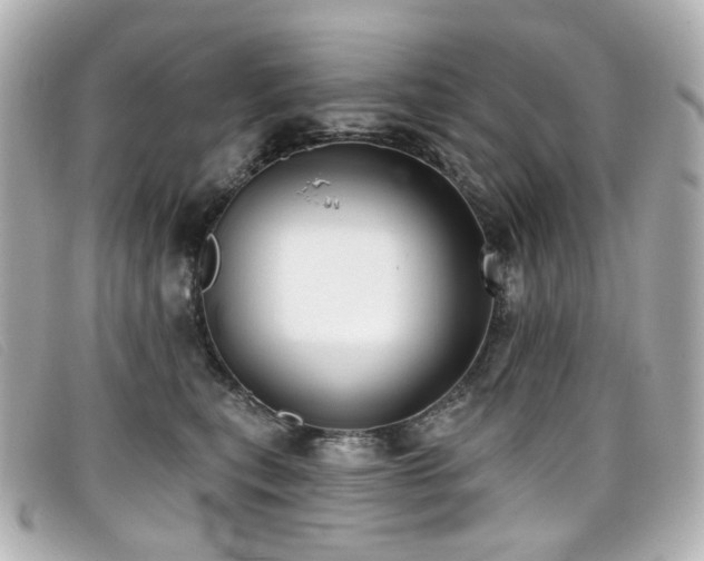 X0000099440567200805091315