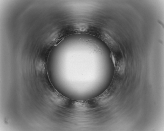 X0000099440568200805091315