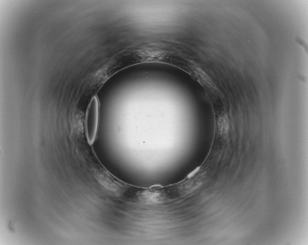 X0000099440570200805091315