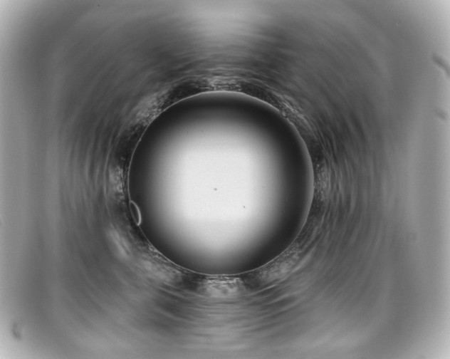 X0000099440571200805091315