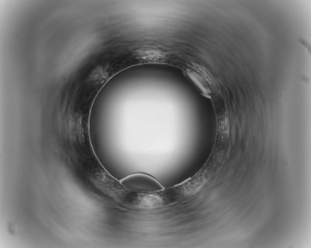 X0000099440572200805091315