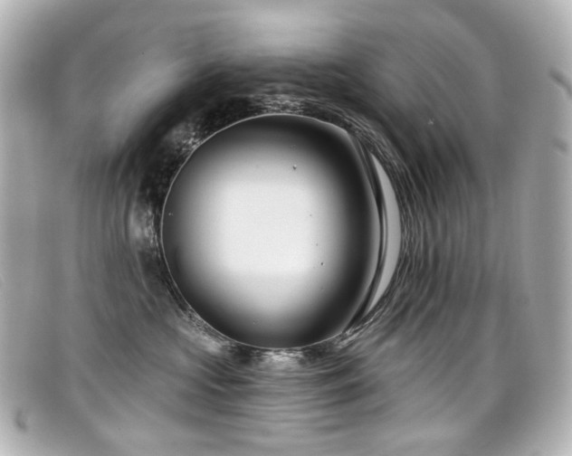 X0000099440573200805091315