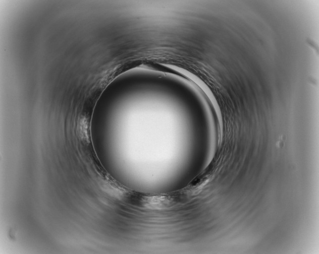 X0000099440575200805091315