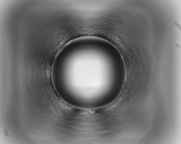 X0000099440576200805091315