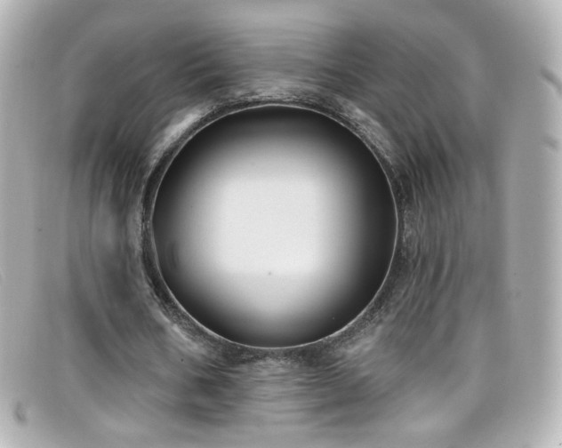 X0000099440578200805091314