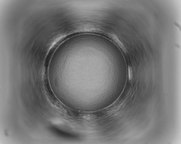 X0000099440579200805091314