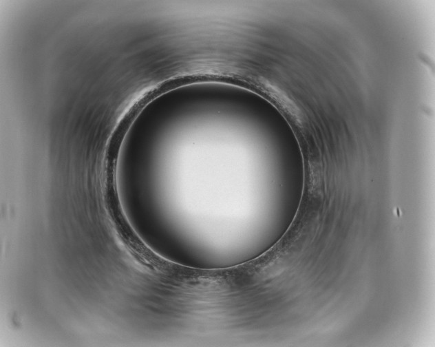 X0000099440580200805091314