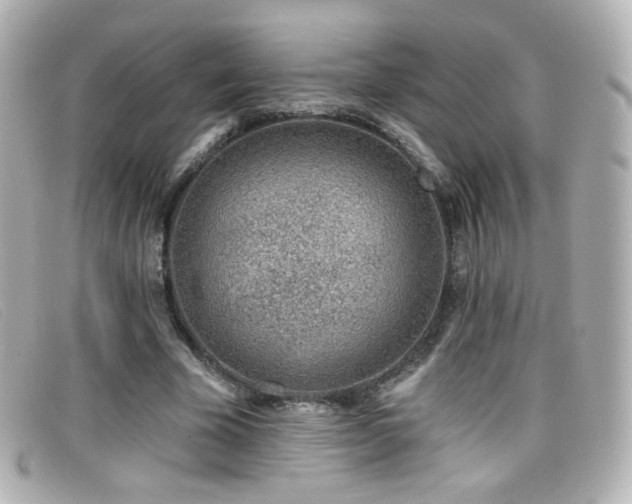 X0000099440585200805091314