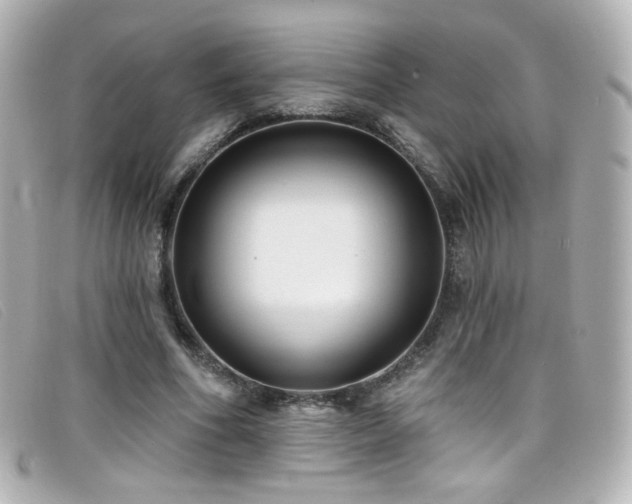 X0000099440586200805091314