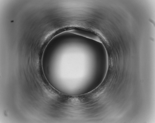 X0000099440588200805091314