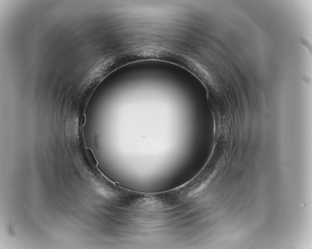 X0000099440589200805091314
