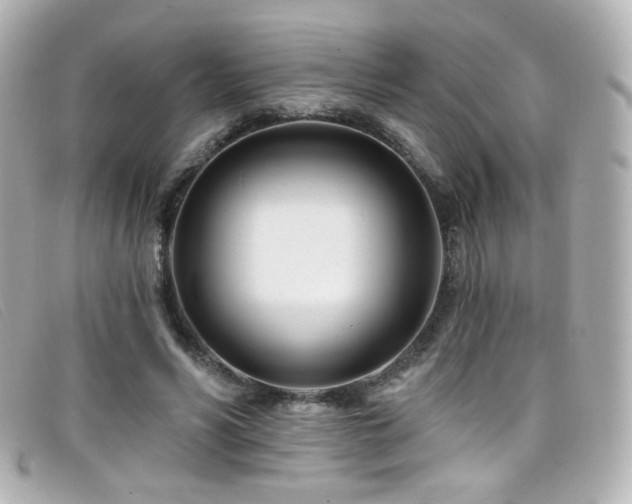 X0000099440590200805091314