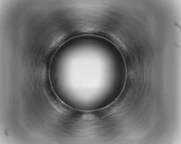 X0000099440591200805091314