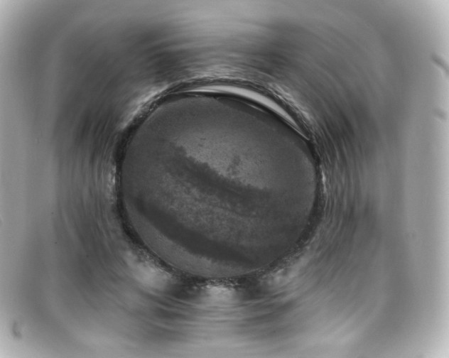 X0000099440592200805091314