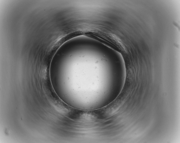 X0000099440596200805091314