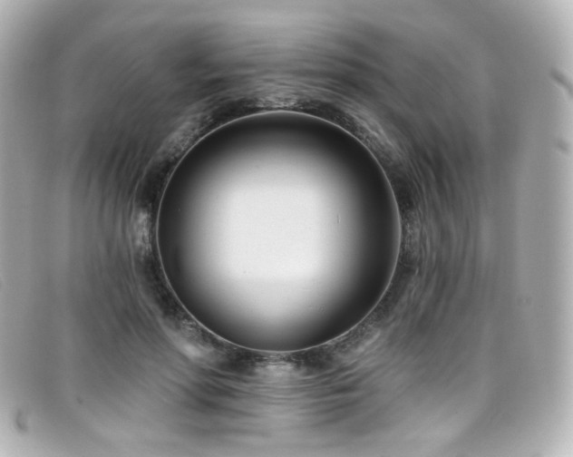 X0000099440598200805091314